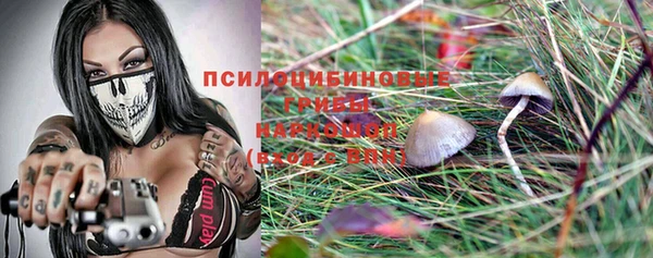 а пвп мука Абаза