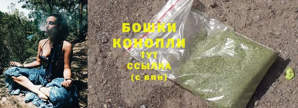 сатива Пролетарск