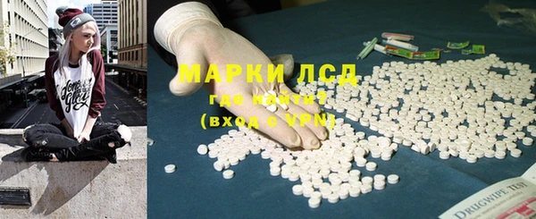 сатива Пролетарск
