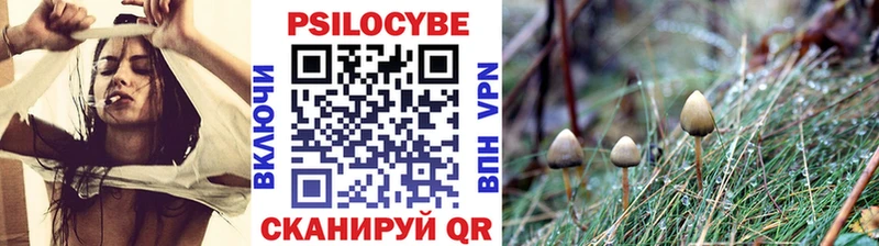 наркошоп  Анадырь  Псилоцибиновые грибы Psilocybine cubensis 